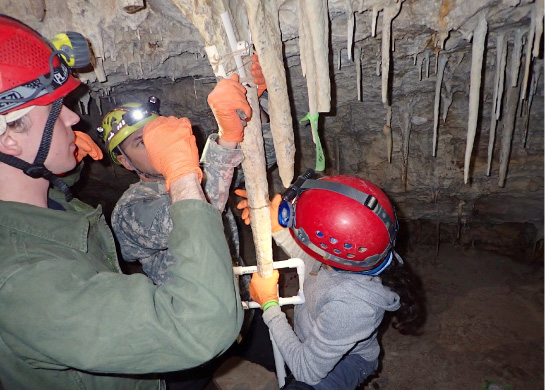 Exploración de Cenotes