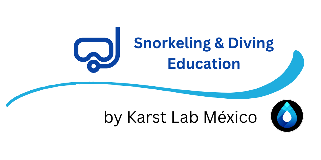 Snorkeling & Diving Education